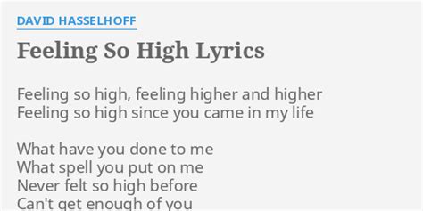 i'm feeling so high song